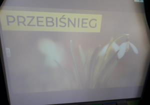 Slajd prezentacji multimedialnej o wiosennych kwiatach.