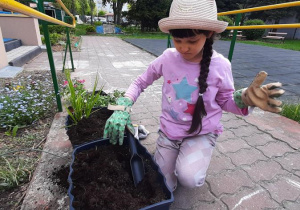 Dziewczynka spulchnia ziemię w skrzynce pod nowe rośliny.