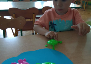 Chłopiec manipuluje żabkami.
