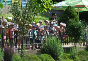 Dzieci czekają na wynurzenie pleziozaura.