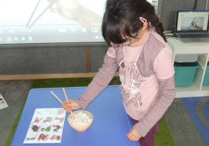Dziewczynka przenosi ryż pałeczkami.