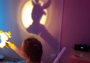 Dziecko robi cienie z maskotki.