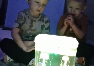 Chłopcy oglądaja akwarium z meduzami.