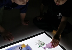 Chłopcy układają rybki na panelu świetlnym.