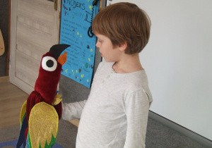 Chłopiec recytuje wierszyk o papudze.