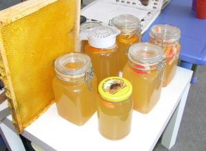 Pszczoły i miód