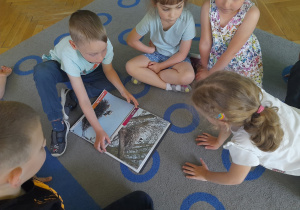 Dzieci oglądają zdjęcia bocianów.