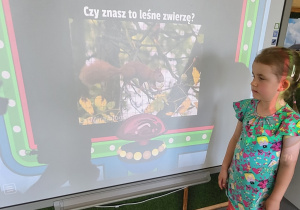 Dziecko wskazuje zwierzęta leśne na tablicy interaktywnej.