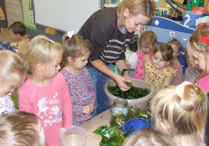 Nauczycielka wraz z dziećmi wkładają ogórki do słoika.