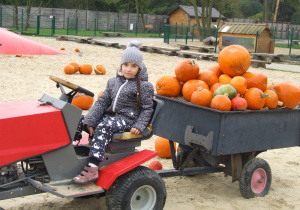 Dziewczynka siedzi na traktorze.