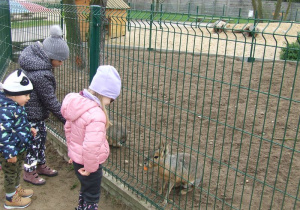 Dzieci dokarmiają zwierzątka marchewką.