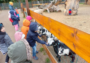 Dzieci oglądają zwierzęta w nini-zoo.