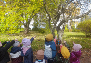 Dzieci wskazują na drzewo już prawie bez liści.