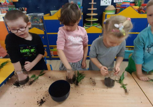 Dzieci umieszczają roślinkę w słoiku.