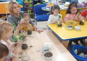 Dzieci umieszczają roślinkę w słoiku.