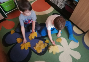  Chłopcy segregują liście.
