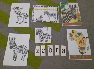 Zdjęcie ilustracji, zebra i napis - Dzień zebry