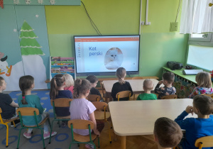 Dzieci oglądają prezentację o kotach.