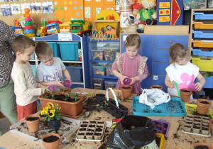 Dzieci podlewają zasiane nasiona roślin.