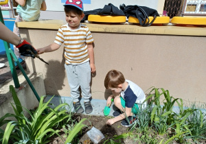 Dzieci sadzą kwiaty
