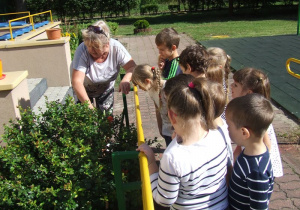 Dzieci oglądają rośliny w ogrodzie przedszkolnym.