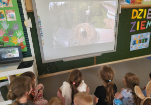 Zdjęcie 3 na 4