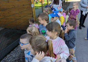 Dzieci zwiedzają mini zoo.
