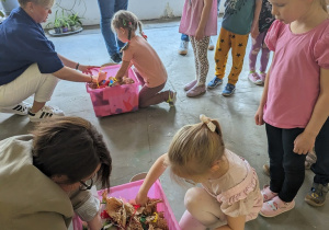 Dzieci szukają szmaragdów ukrytych w pudełkach.