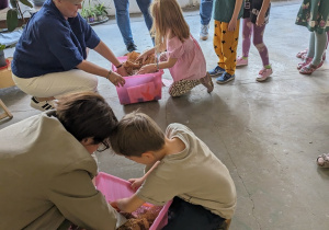 Dzieci szukają szmaragdów ukrytych w pudełkach.