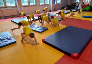 Dzieci uczestniczą w treningu judo.