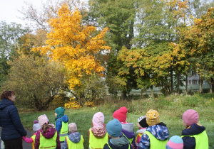 Oglądamy piękny jesienny krajobraz.