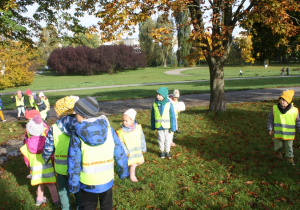 Dzieci szukają kasztanów w parku.