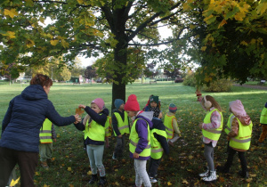Szukamy kolorowych liści.