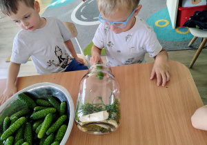 Dzieci wkładają ogórki do słoika.