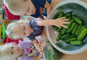 Dzieci wkładają ogórki do słoika.