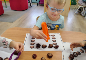 Dzieci układają kasztany.