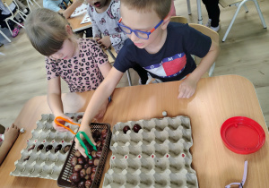 Dzieci układają kasztany.