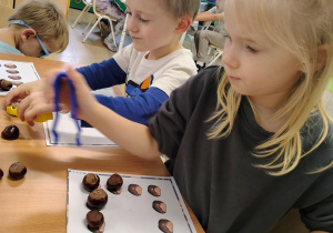 Dzieci układają kasztany.