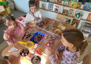 Dzieci eksperymentują przy stoliku z kasztanami, szyszkami i lupami.