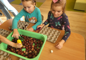 Dzieci bawią się kasztanami.