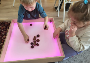 Chłopiec układa kasztany.