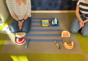 Modele stomatologiczne zęba do ćwiczeń.