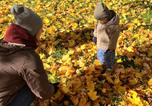 Chłopiec patrzy na liście.