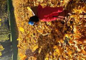 Chłopiec idzie po liściach.