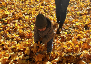 Chłopiec zbiera liście.