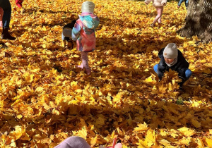 Zabawy w liściach.