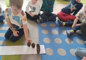 Dziecko układa na białej kartce szyszki od największej do najmniejszej.