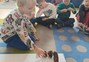 Dziecko układa na białej kartce szyszki od największej do