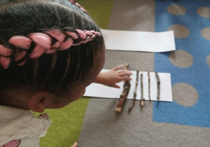 Dziecko układa na białej kartce patyki od najmniejszego do największego.