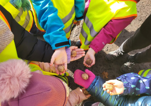 Dzieci pokazują orzechy.